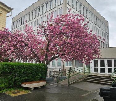 Eger Apartment | HelloWine Apartman II
