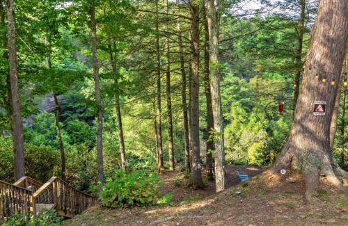 Rogers House | Hemlocks Over Muir
