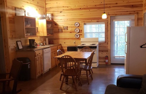 Sulphur House | Henson 2: Rustic 2 Bedroom Cabin surrounded by trees.