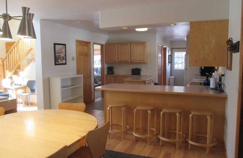Lake City Cabin | Henson Creek Getaway - Great Family Cabin Along the River and Only Two Blocks from Downtown