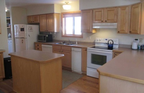 Lake City Cabin | Henson Creek Getaway - Great Family Cabin Along the River and Only Two Blocks from Downtown
