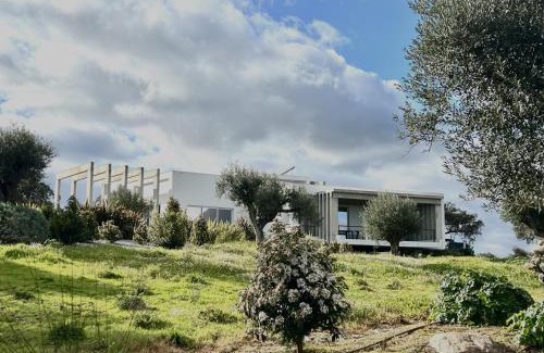 Reguengos de Monsaraz Villa | Herdade Vale Castelo
