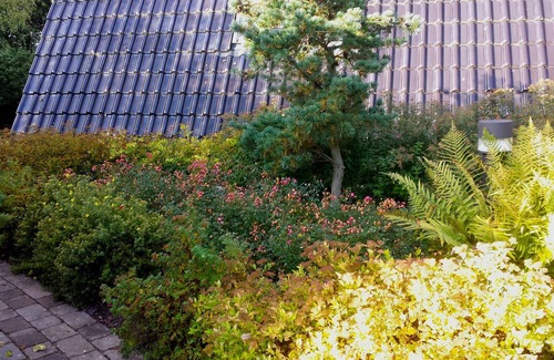 Damp House | Here you will find harmony for the soul and body, garden & house are inviting