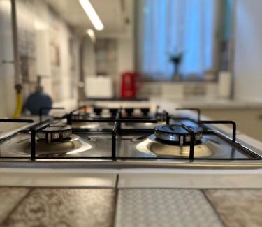 Nemetvolgy Apartment | Heritage Harmony with FREE PARKING