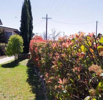 Tenterfield House | Heritage Home with BBQ & Outdoor Fire Pit