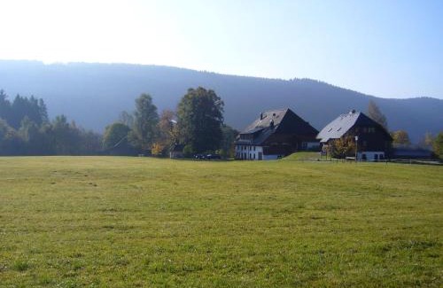 Titisee-Neustadt Apartment | Hermeshof und Biohaus