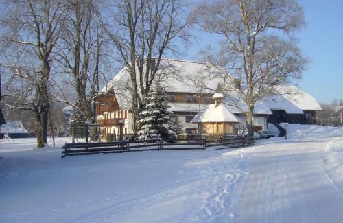 Titisee-Neustadt Apartment | Hermeshof und Biohaus