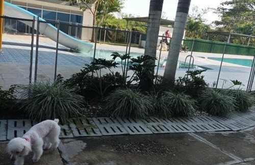 Ibague Apartment | Hermoso apartamento en conjunto cerrado Ibagué