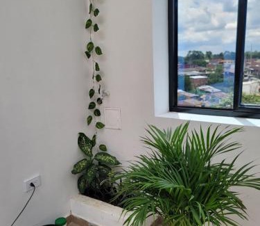 Armenia Apartment | Hermosos apartamentos