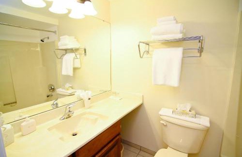 Campbell River Hotel | Heron's Landing Hotel