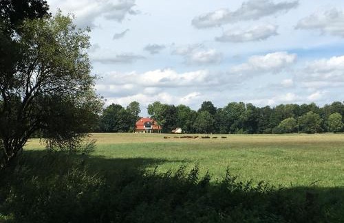Buggenhagen Apartment | Herrenhaus am See Usedom