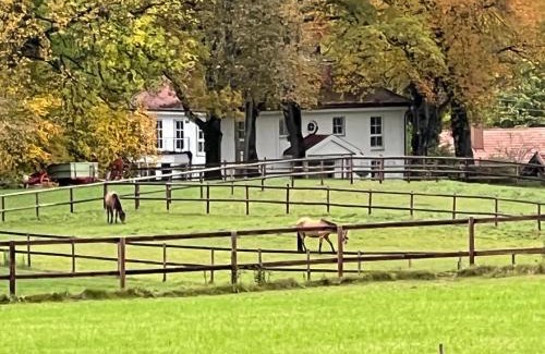 Ammerland House | Herrenhaus - Starnberger See - Ammerland