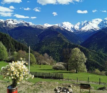 Bagvdanari Apartment | Heshkili Cottages