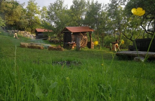 Vultureni Other | Hidden Garden Kide(Chidea)