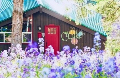 Salt Lake Mountain Resorts Ski Chalet | Hidden Gem! Swiss Cottage Ski Chalet