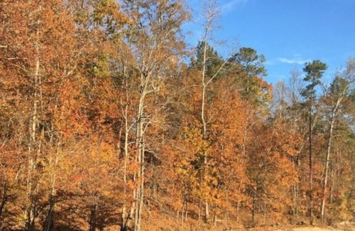 Alexander City Condo | Hidden Treasure-Lake Martin, 35mi from Jordan Hare