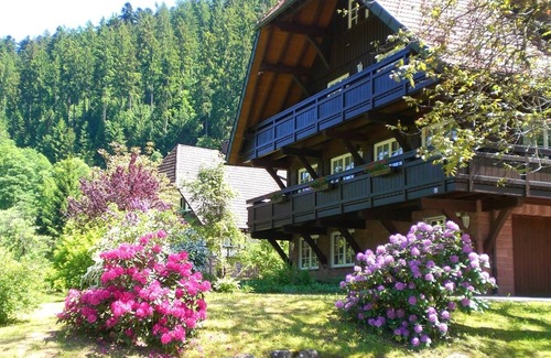 Bad Rippoldsau-Schapbach Apartment | Hideaway near Black Forest