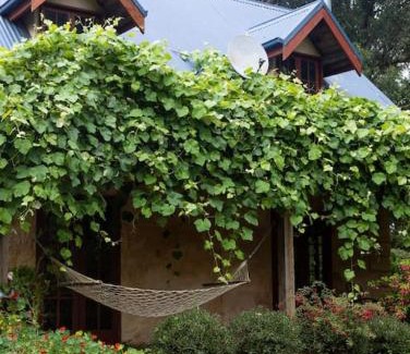 Apollo Bay House | Hideaway Cottage - Secluded Retreat - Pet Friendly