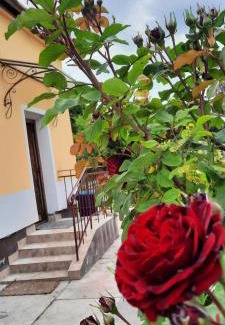 Rakosszentmihaly Apartment | Hideaway house with garden & free parking