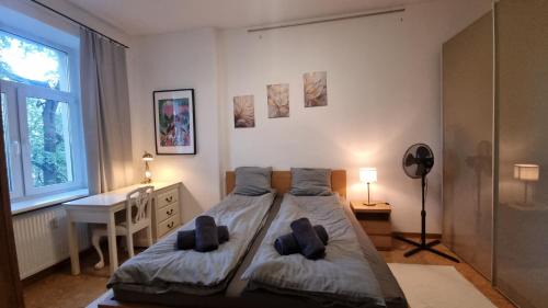 Kesklinn Apartment | High ceilings 75m2 Sleeps 9 Free parking
