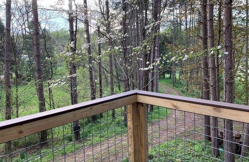 Kipling Cabin | High Tech Cabin in the Hills of Guernsey County