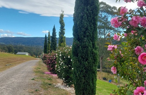 Kurrajong House | Highfields Country Cottages Valley View Sleeps 2 couples 1 Bedroom & QSofa