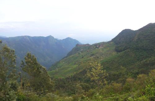 Coonoor House | HIGHLAND Hills