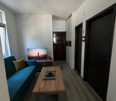 Pluzine Apartment | Highland view