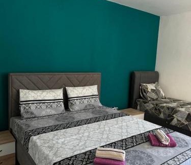 Pluzine Apartment | Highland view