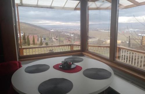 Apahida House | Hill House with City view