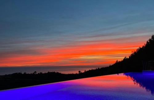 Budva Apartment | Hillside Apartment with Infinity Pool and Sea View