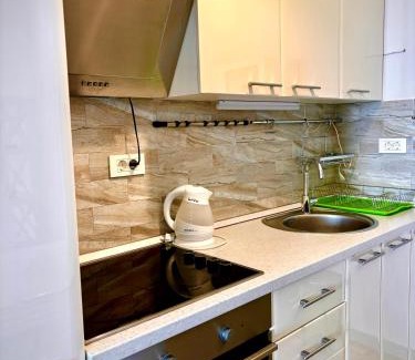 Budva Apartment | Hillside Apartment with Infinity Pool and Sea View