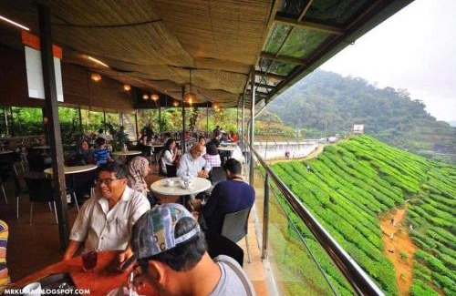 Tanah Rata Cabin | Hillside cottage reflesia room