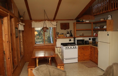 Ely Cabin | Hilltop Cabin – Scenic BWCA Lookout with Historic Charm & Resort Amenities