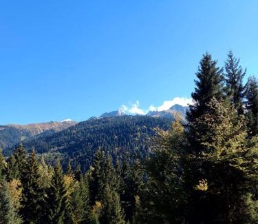 Glola Apartment | Hilltop Glola