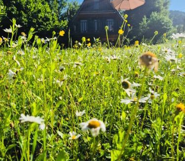 Glola Apartment | Hilltop Glola