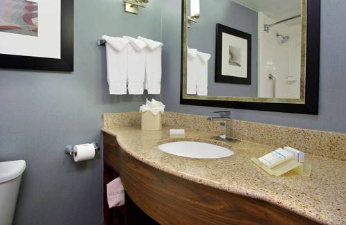 Mesa Park Hotel | Hilton Garden Inn Austin NW - Arboretum