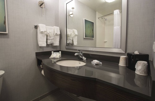 Bolingbrook Hotel | Hilton Garden Inn Bolingbrook I-55