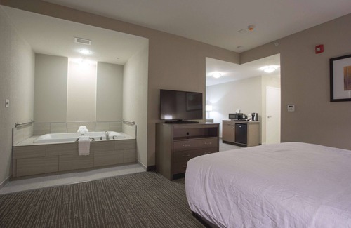 Bolingbrook Hotel | Hilton Garden Inn Bolingbrook I-55