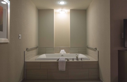 Bolingbrook Hotel | Hilton Garden Inn Bolingbrook I-55