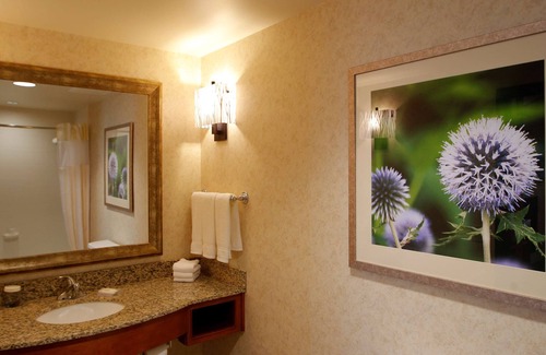 Cedar Falls Hotel | Hilton Garden Inn Cedar Falls