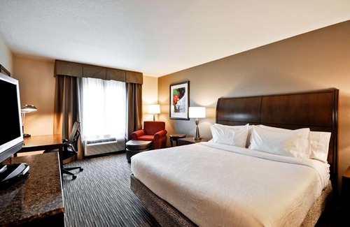 Temple Terrace Hotel | Hilton Garden Inn Tampa North