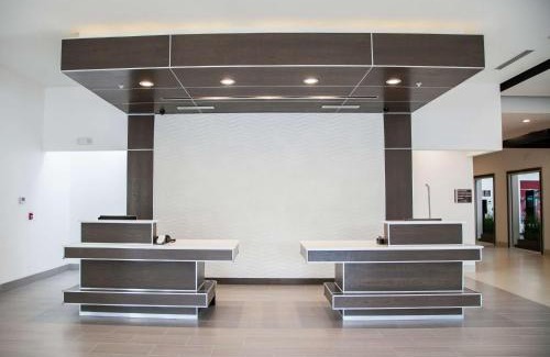 Lutz Hotel | Hilton Garden Inn Tampa Suncoast Parkway