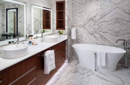 Downtown Hotel | Hilton Rochester Mayo Clinic Area