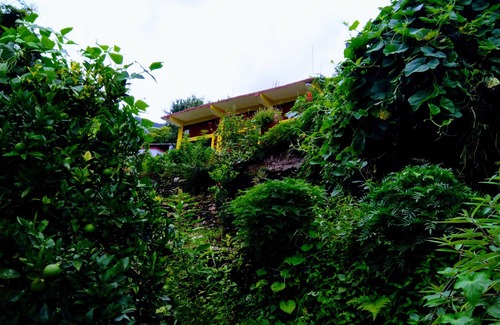 Kaul House | Himalayan View,Chirpy Morning