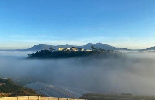 Da Lat Hotel | Himori homestay & coffee