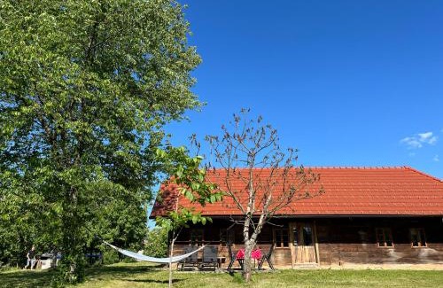 Crnomelj House | Hisa Suzana