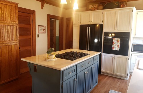 Port Huron House | Historic 1875 Victorian-Pear Tree Manor - close to downtown, Lake Huron, & river