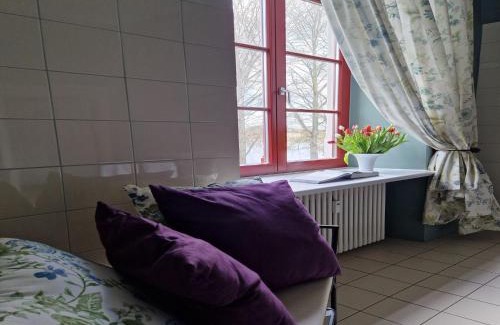 Satow Apartment | Historic Apartment in Gerdshagen with Garden