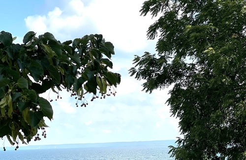 Burlington Cottage | Historic & Charming Lakefront Gem in Burlington